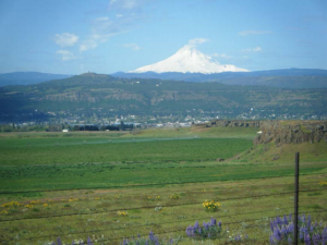 Looking South to Mount Hood with The Dalles in the centre. 