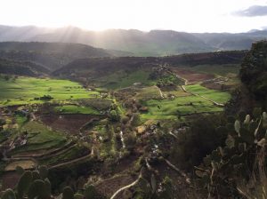 the countryside near Ronda, Andulacia