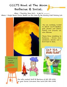 Howl Picnic 2016-page-0