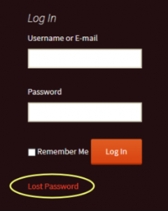 login-widget