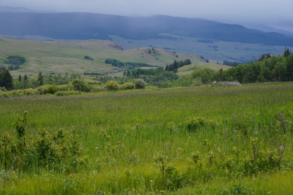 A green field with hills in the background

Description automatically generated