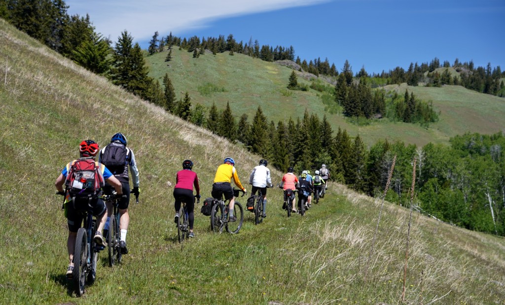 A group of people riding bikes on a hill

Description automatically generated