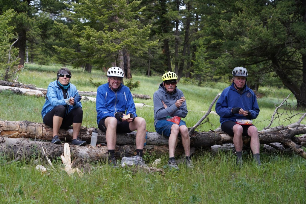 A group of people sitting on a log

Description automatically generated