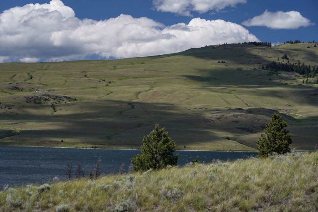 A lake in the middle of a grassy hill

Description automatically generated