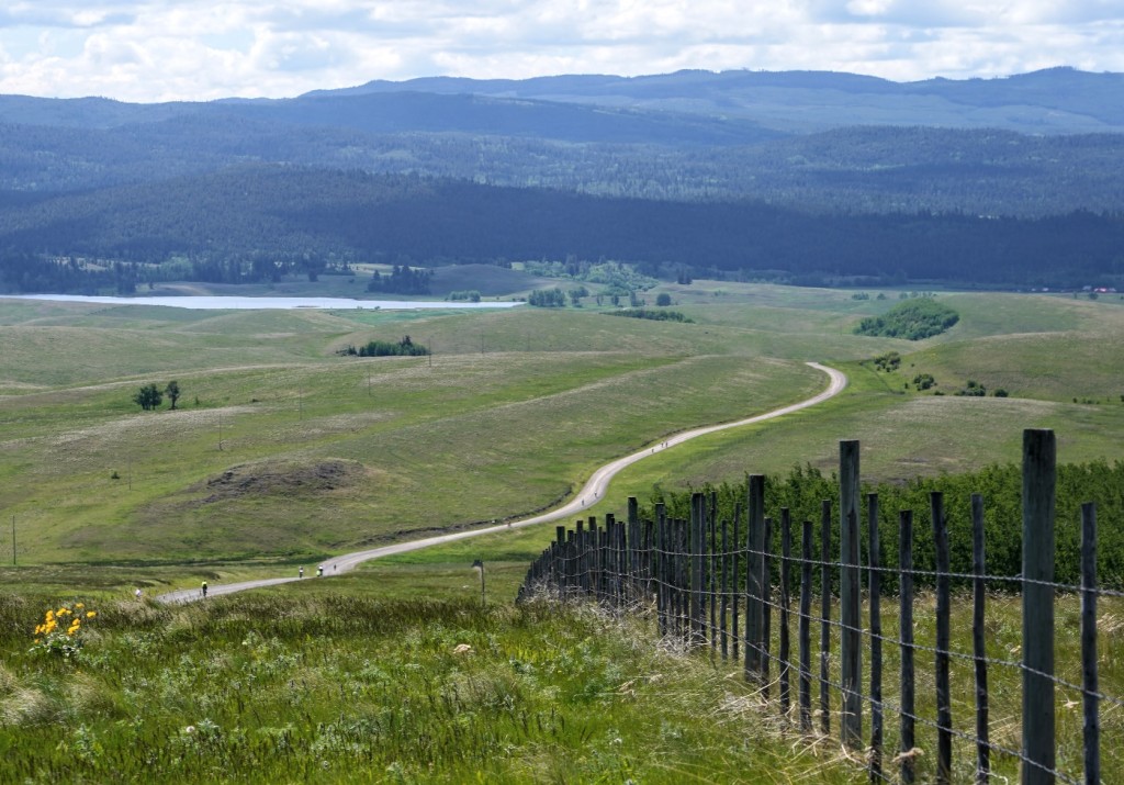 A road through a grassy field

Description automatically generated