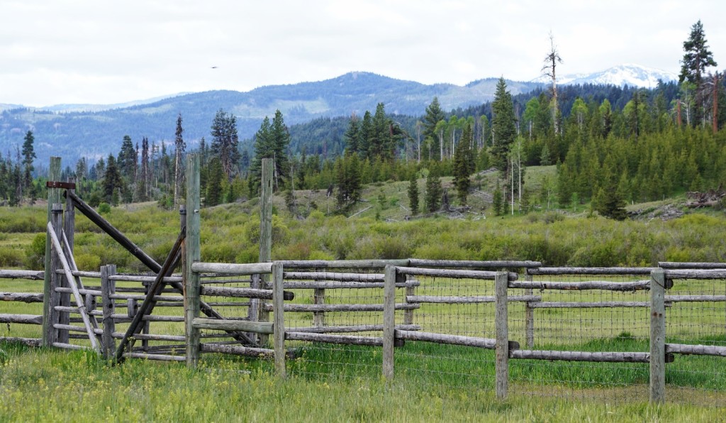 A wooden fence in a field

Description automatically generated