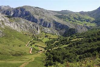 A green valley with trees and mountains

AI-generated content may be incorrect.