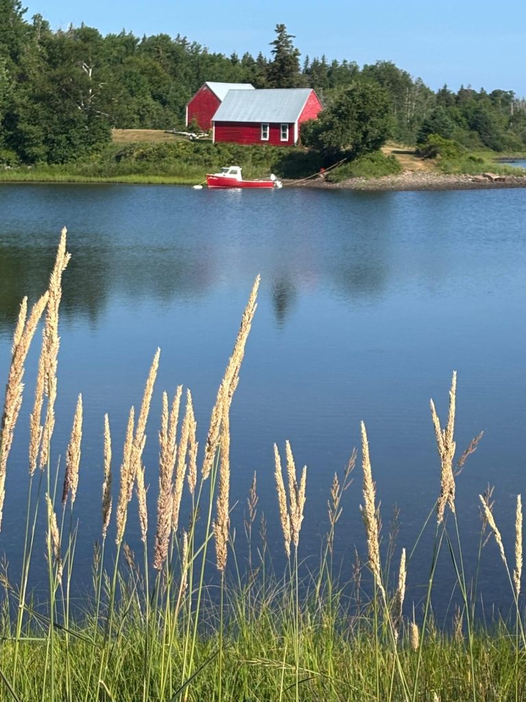 A red barn on a small island

Description automatically generated