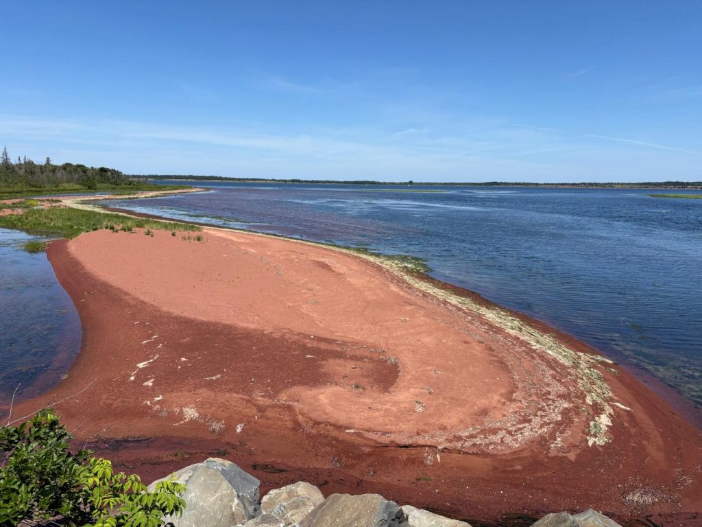 A red sand beach with water and trees

Description automatically generated